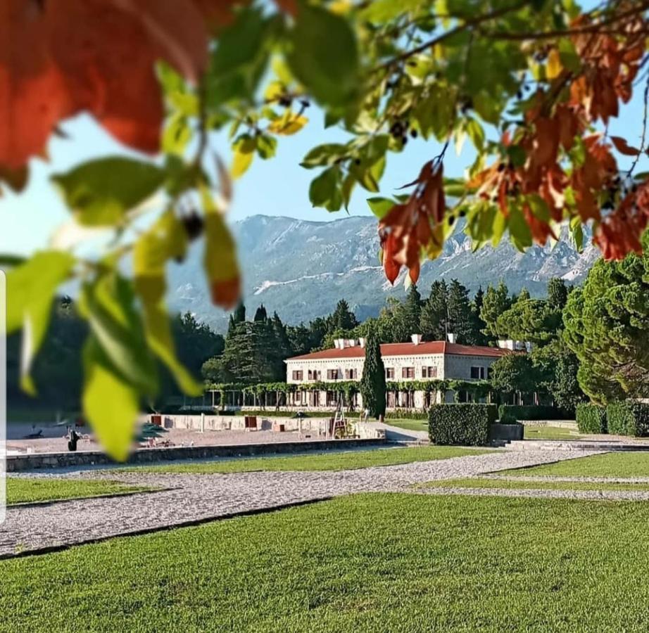Villa Pedja Zec Exclusive 3+ Budva Dış mekan fotoğraf